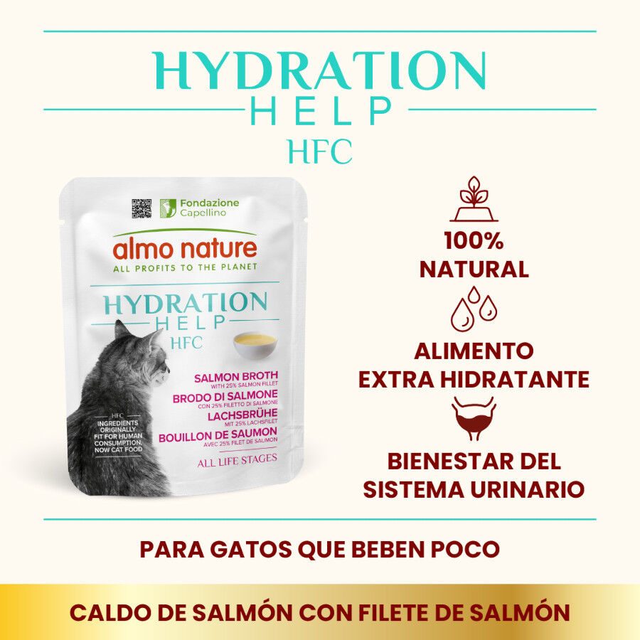 50 g Almo Nature HFC Hydration Help Sach&ecirc; de caldo de salm&atilde;o para gatos, , large Imagem n&uacute;mero 2